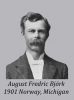 August Fredrik Björk.jpg